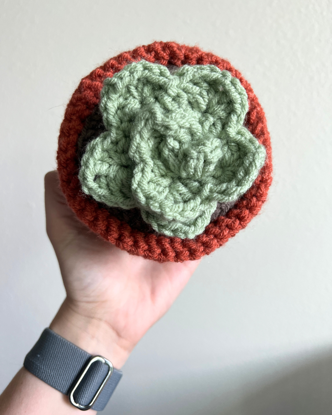 Succulent Crochet Pattern