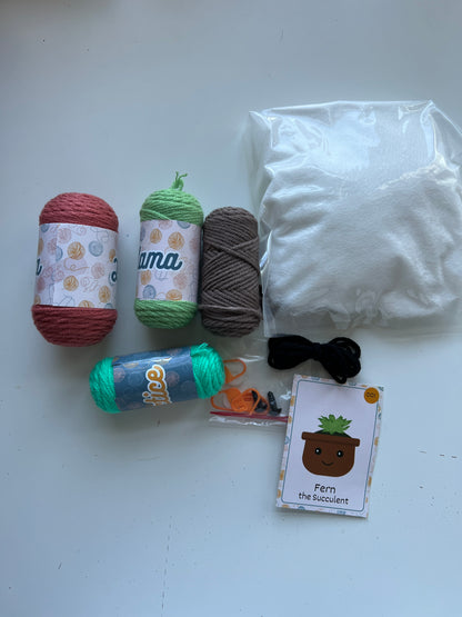 succulent crochet kit Succulent Crochet Kit – Lousy Llama