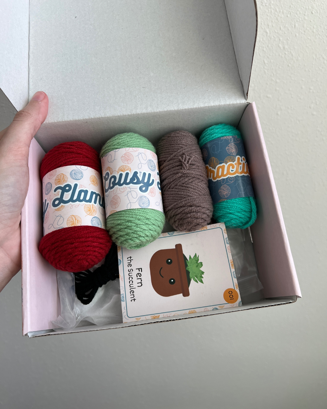 Succulent Crochet Kit
